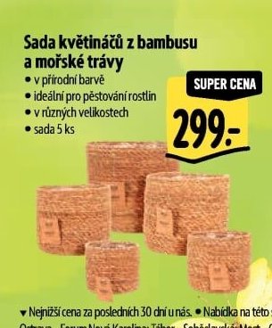 Sada květináčů z bambusu a mořské trávy - Albert aktualniletaky.eu