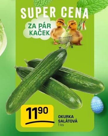 Okurka salátová - FLOP aktualniletaky.eu