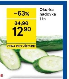 Okurka hadovka - Tesco aktualniletaky.eu