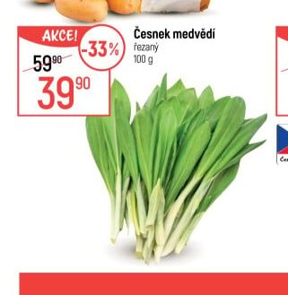 Česnek medvědí - Globus aktualniletaky.eu