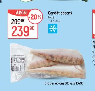 Candát obecný - Globus aktualniletaky.eu