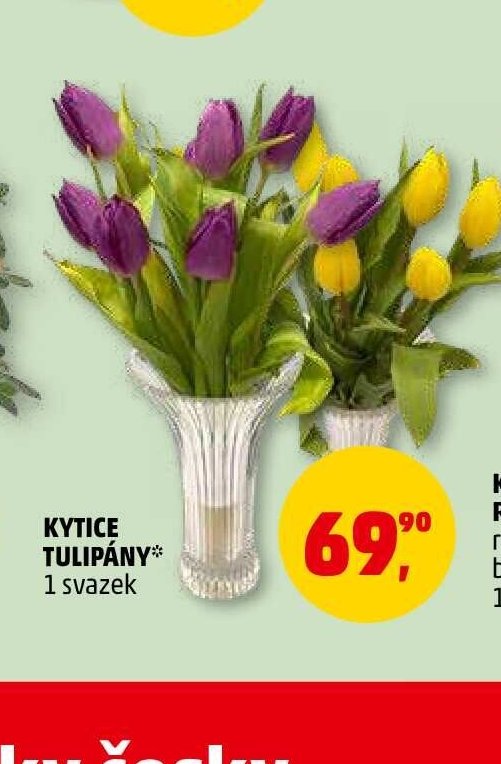 KYTICE TULIPÁNY - Penny Market aktualniletaky.eu