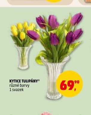 Kytice tulipány - Penny Market aktualniletaky.eu