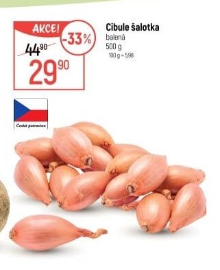 Cibule šalotka - Globus aktualniletaky.eu