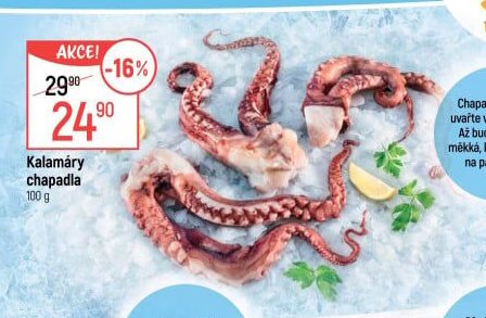 Kalamáry chapadla - Globus aktualniletaky.eu