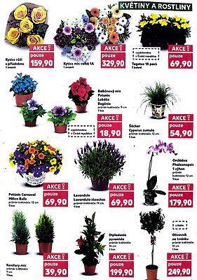 aktuální leták Kaufland 22.4.2026-28.4.2026