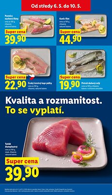 Lidl leták od středy strana 13