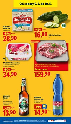 Lidl leták od středy strana 45