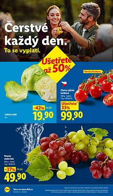 Lidl leták od středy strana 10