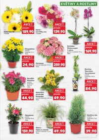 aktuální leták Kaufland 20.5.2026-26.5.2026