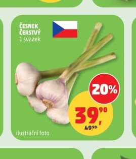 Česnek čerstvý - Penny Market aktualniletaky.eu