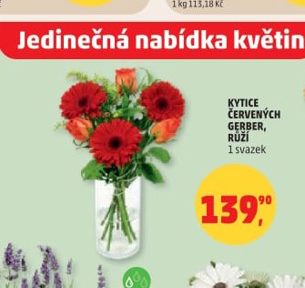 KYTICE ČERVENÝCH GERBER, RŮŽÍ - Penny Market aktualniletaky.eu
