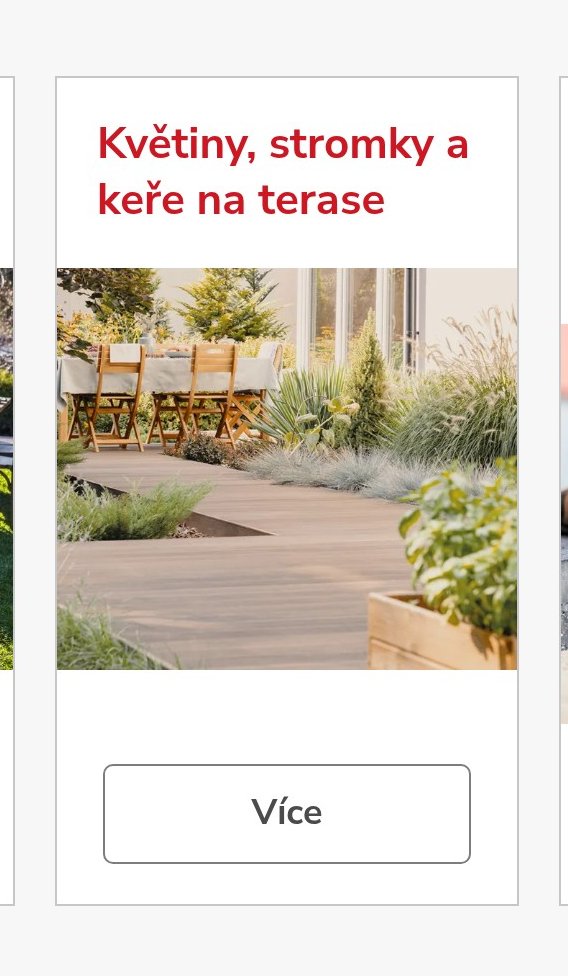 Květiny, stromky a keře na terase