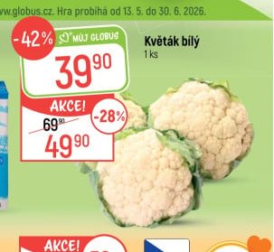 Květák bílý