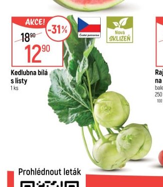 Kedlubna bílá s listy