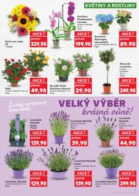 aktuální leták Kaufland 3.6.2026-9.6.2026