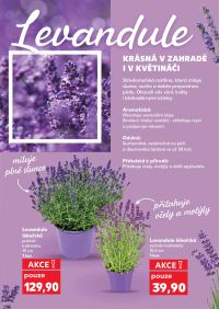 aktuální leták Kaufland 3.6.2026-9.6.2026