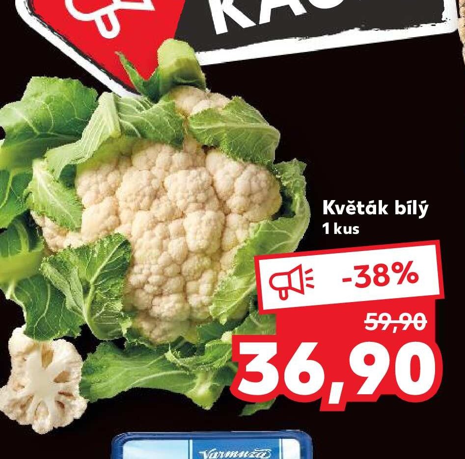 Květák bílý