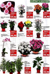 aktuální leták Kaufland 10.6.2026-16.6.2026
