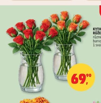 KYTICE RŮŽE - Penny Market aktualniletaky.eu