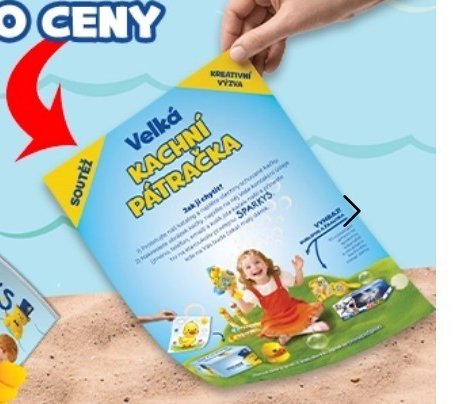 Velká kachní pátračka