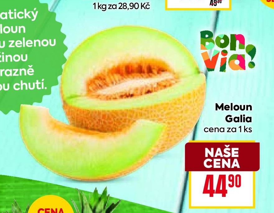 Meloun Galia - BILLA aktualniletaky.eu