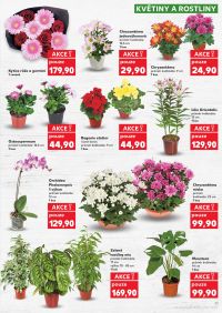 aktuální leták Kaufland 10.6.2026-16.6.2026