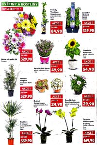 aktuální leták Kaufland 17.6.2026-23.6.2026