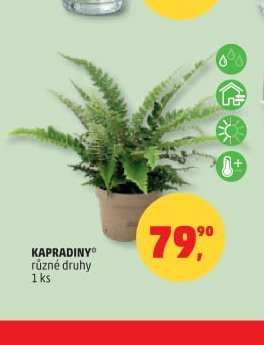 KAPRADINY - Penny Market aktualniletaky.eu