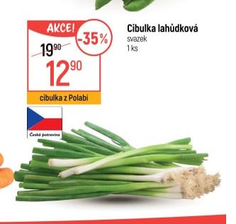 Cibulka lahůdková