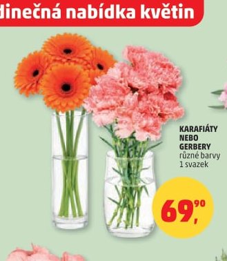 KARAFIÁTY NEBO GERBERY