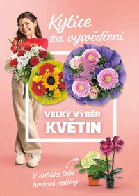 aktuální leták Kaufland 24.6.2026-30.6.2026