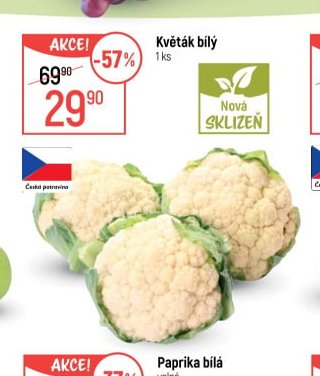 Květák bílý - Globus aktualniletaky.eu