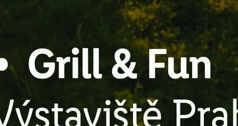 Grill & Fun - Lidl aktualniletaky.eu