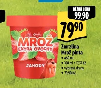 Zmrzlina Mrož pinta