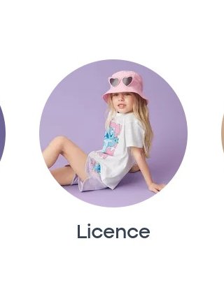 Licence