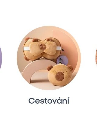 Cestování