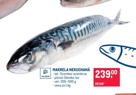 MAKRELA NEKUCHANÁ