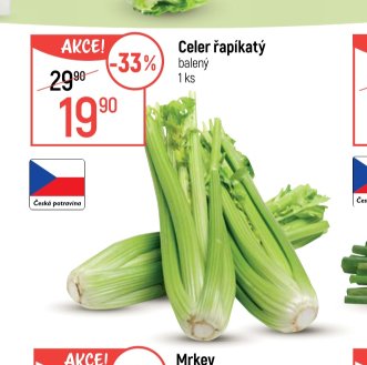 Celer řapíkatý