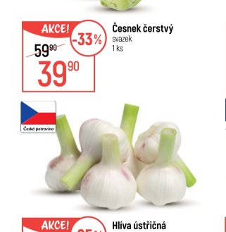 Česnek čerstvý