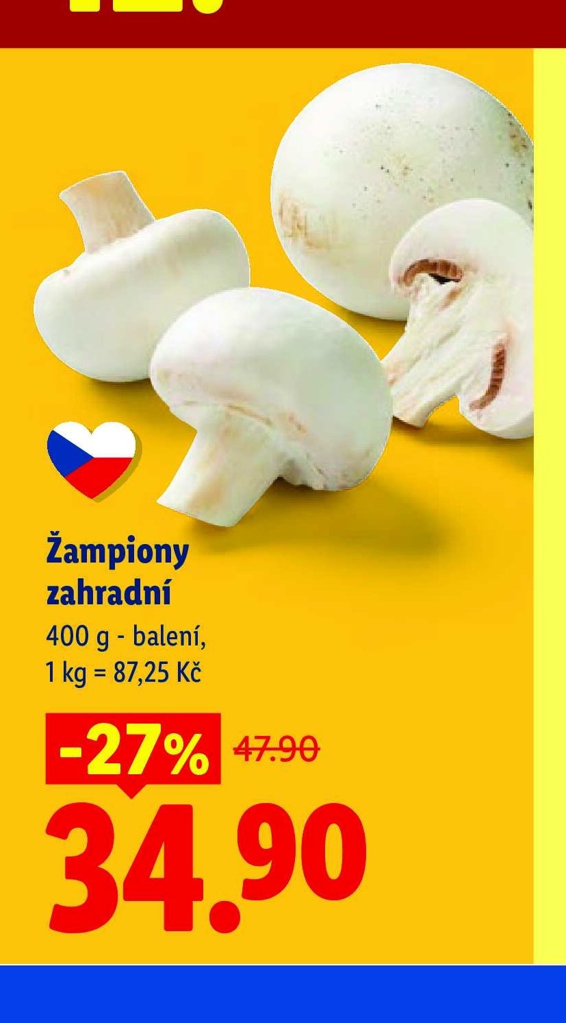 Žampiony zahradní