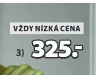 Umělá rostlina ROLF