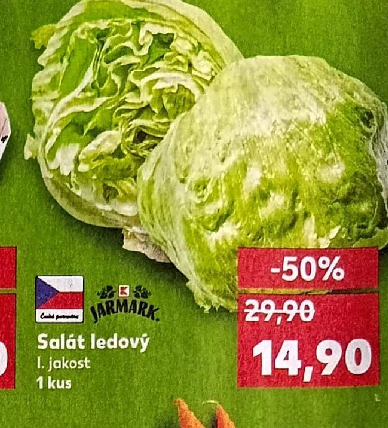 Salát ledový