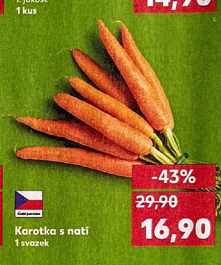 Karotka s natí