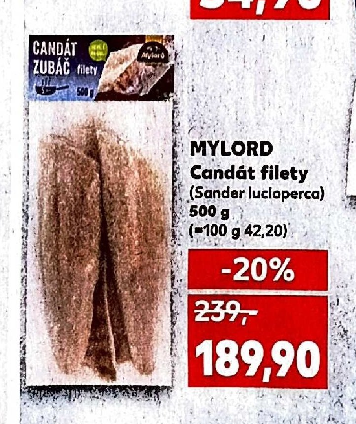 Candát zubáč filety
