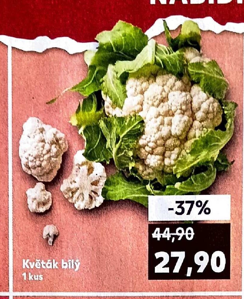 Květák bílý