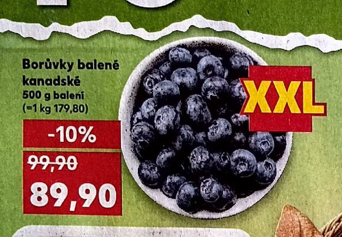 Borůvky kanadské