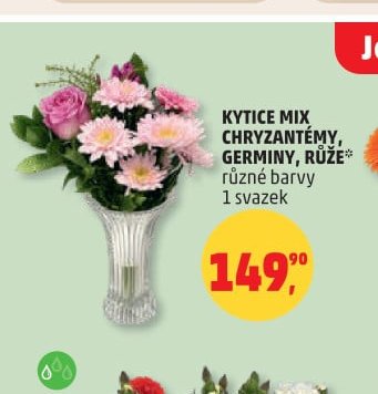 KYTICE MIX CHRYZANTÉMY, GERMINY, RŮŽE