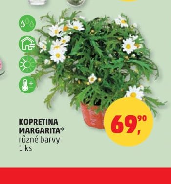 KOPRETINA MARGARITA