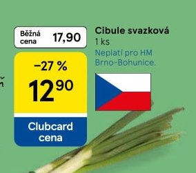Cibule svazková 1 ks